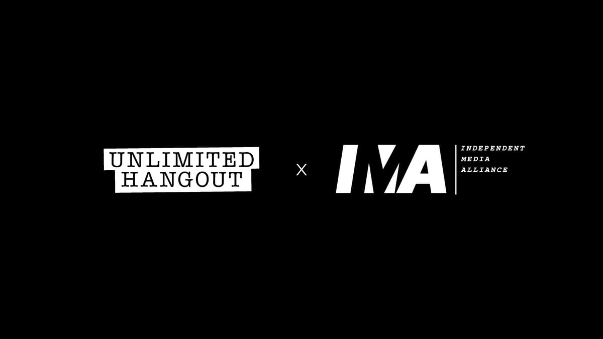 IMA Panel on AI