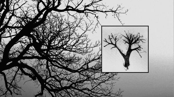 All Roads Lead to Dark Winter