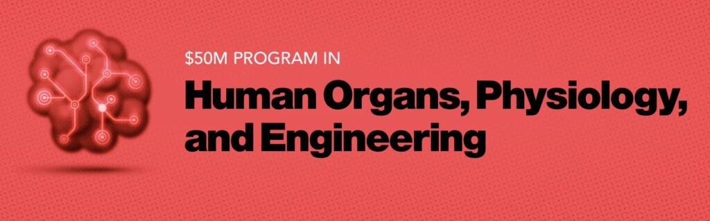 Human Organs Physiology and Engineering