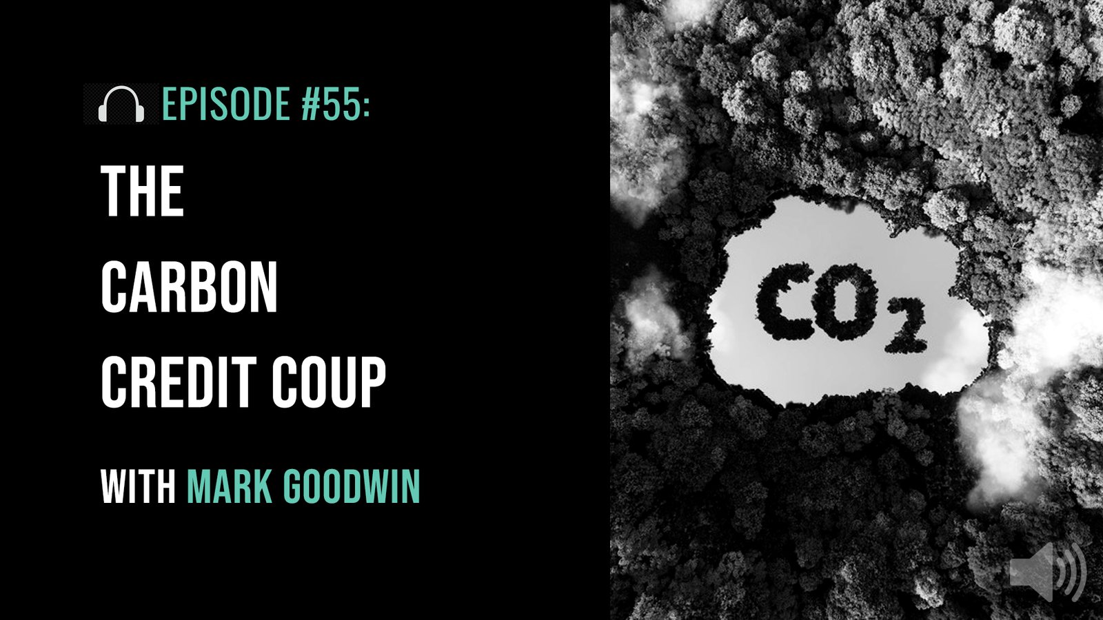 The Carbon Credit score Coup with Mark Goodwin